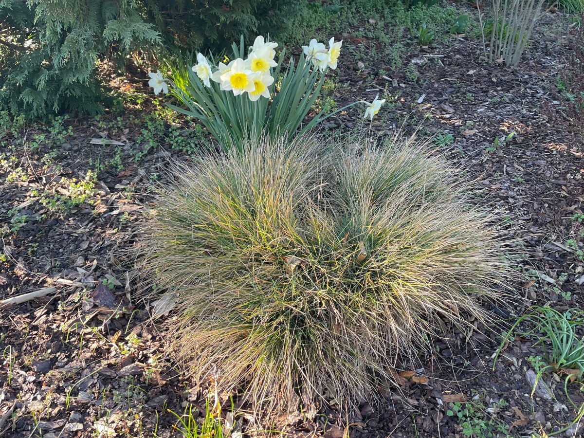 Donnerstag, 16. April 2026 – Zweite Stunde&nbsp;Rückenschule