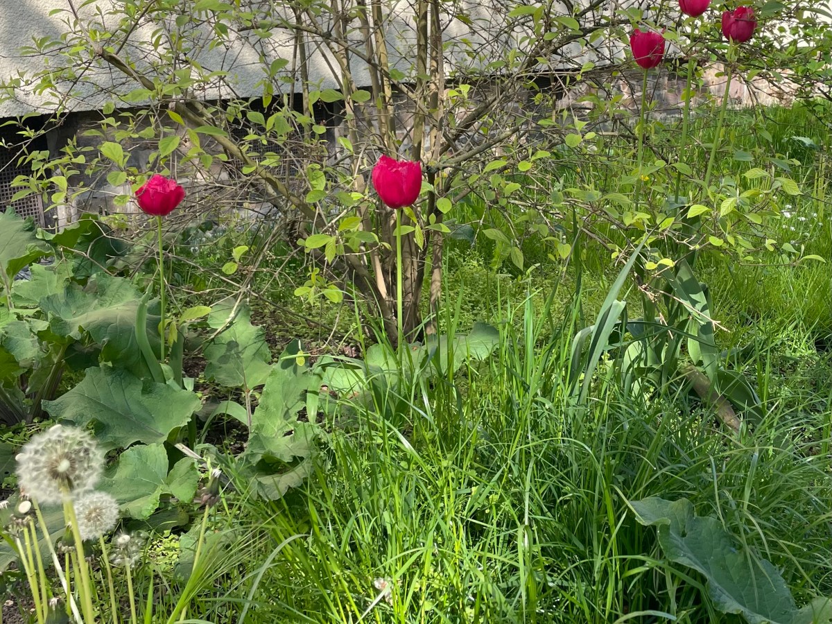 Dienstag, 14. April 2026 – Neue&nbsp;Motivation