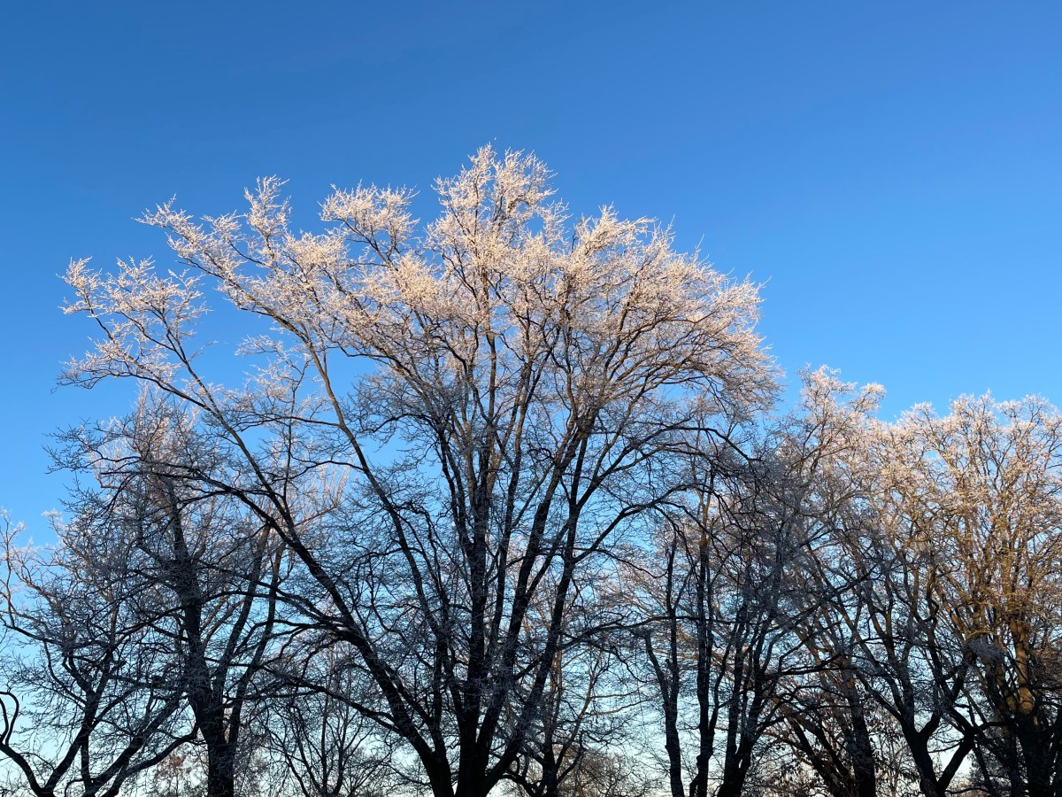 Donnerstag, 1. Januar 2026 – Neujahrsmotivation