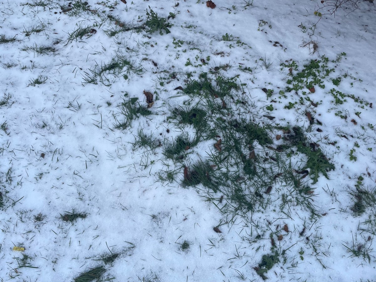 Mittwoch, 7. Januar 2026 – Neue Taschengeldregelung