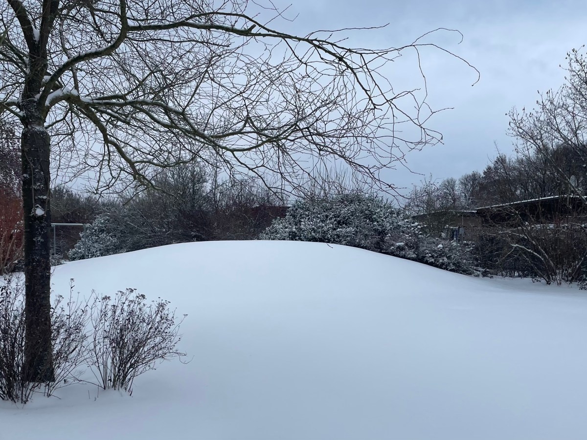 Freitag, 9. Januar 2026 –&nbsp;Schlittenfahrt