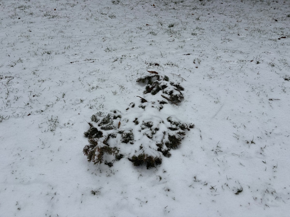 Montag, 16. Februar 2026 – Waltraud bei der&nbsp;Tierärztin