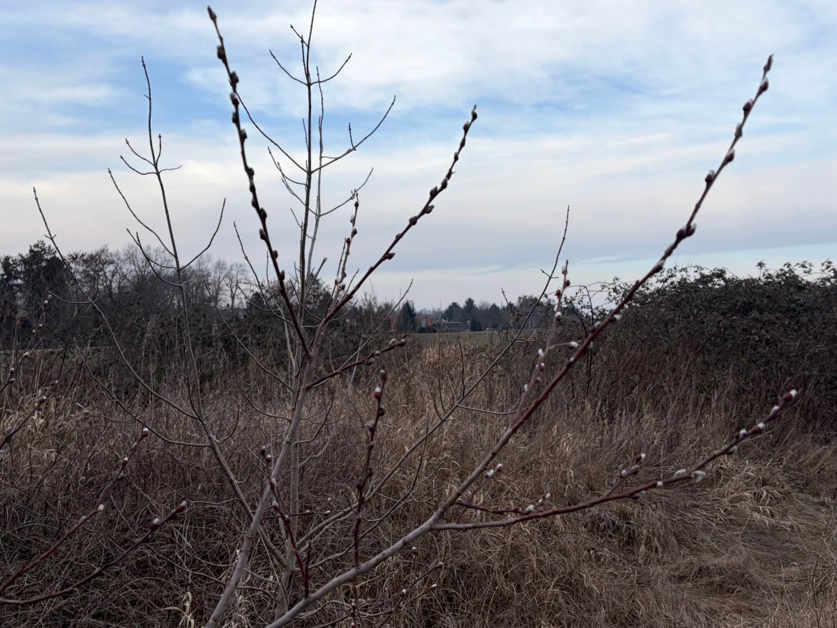 Freitag, 20. Februar 2026 – Neue Kleidung für&nbsp;L