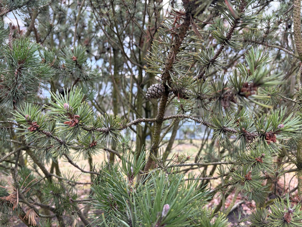 Ein Wochenende im&nbsp;Februar