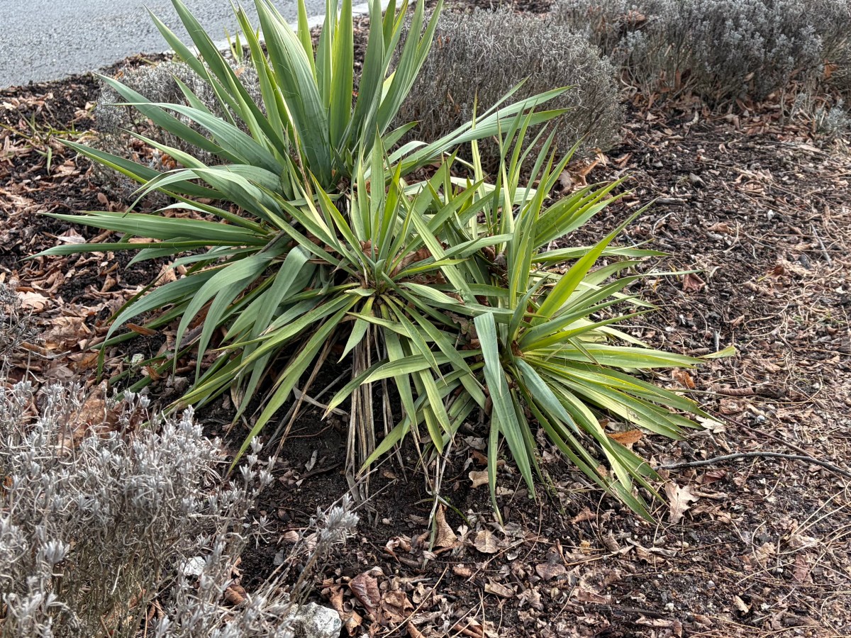 Montag, 23. Februar 2026 – Neue Erfahrung beim&nbsp;Laden