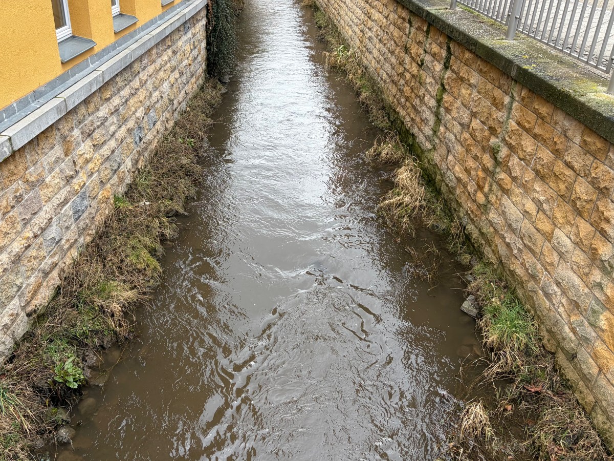 Dienstag, 24. Februar 2026 –&nbsp;Wrap-Dienstag