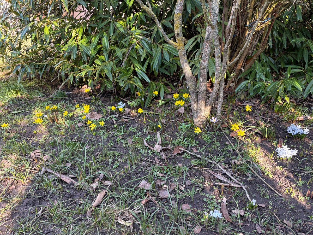 Donnerstag, 26. Februar 2026 –&nbsp;Bibliothek