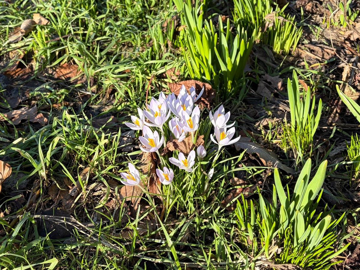 Mittwoch, 25. Februar 2026 – Spielplatz im&nbsp;Sonnenschein