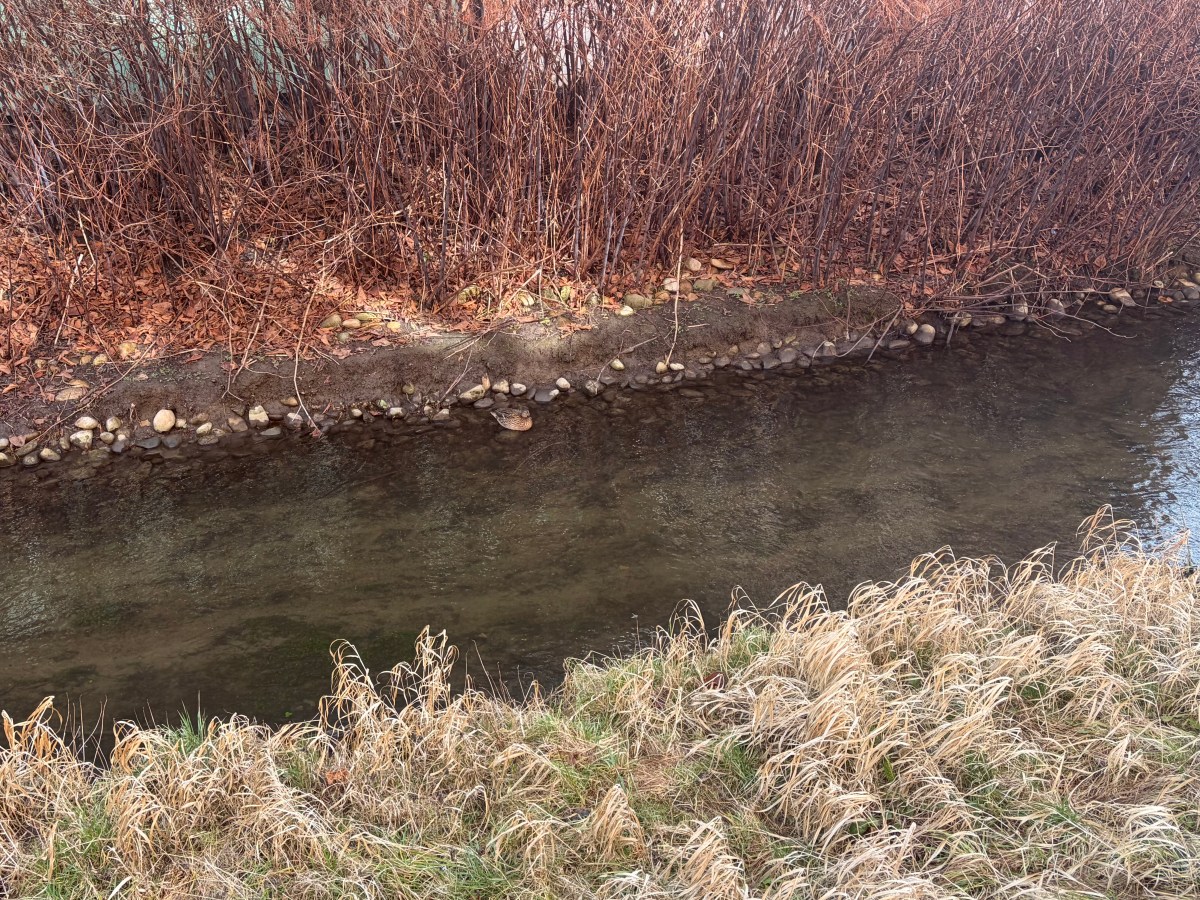 Freitag, 27. Februar 2026 – Spaziergang im&nbsp;Sonnenschein